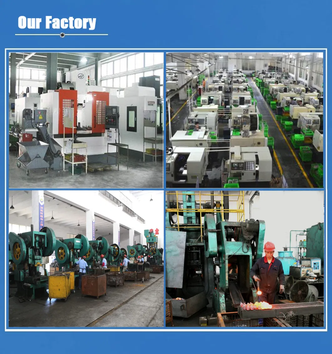 OEM Forging Parts/Hardware for Carbon &amp; Alloy Steel